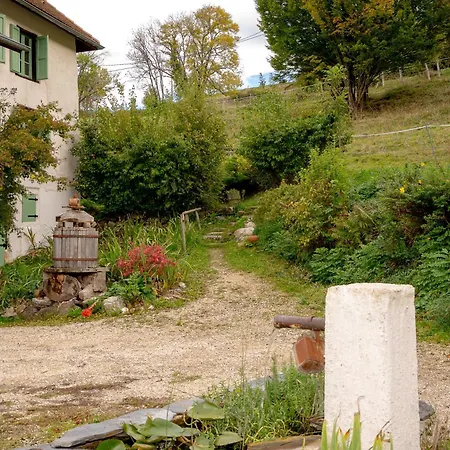 Le Palefroi De Feriehus Merlas